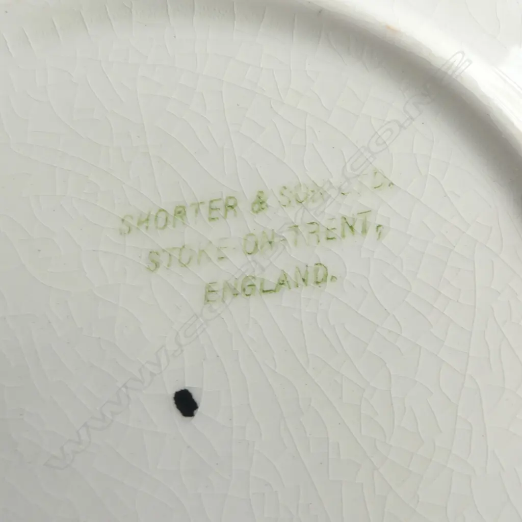 6 SHORTER FISH PLATES DIA230MM Image 1++