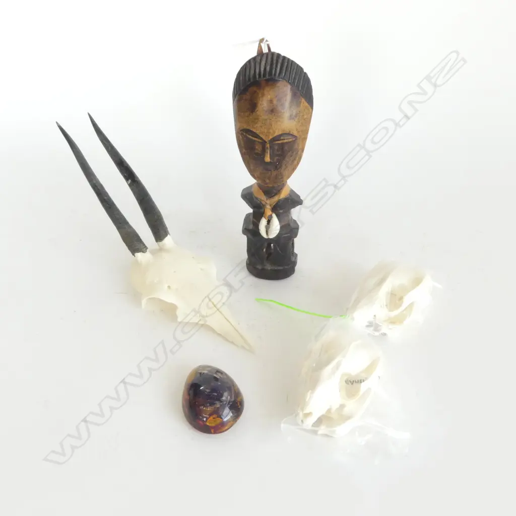 BUTTERFLY IN RESIN PENDANT, TRIBAL FIGURE H.190mm, GREY DUIKER SKULL, 2 POSSUM SKULLS Image 1++