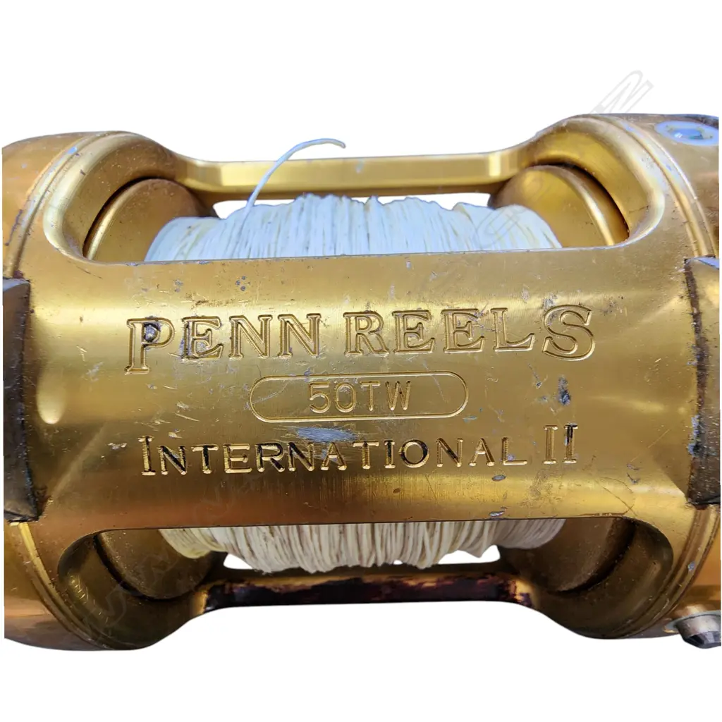 USA GOLDEN PENN  50TW INT.II REEL on FISHING ROD (BIG GAME) . penn 1.75m + heavy/fast 15-24kg. Image 1++