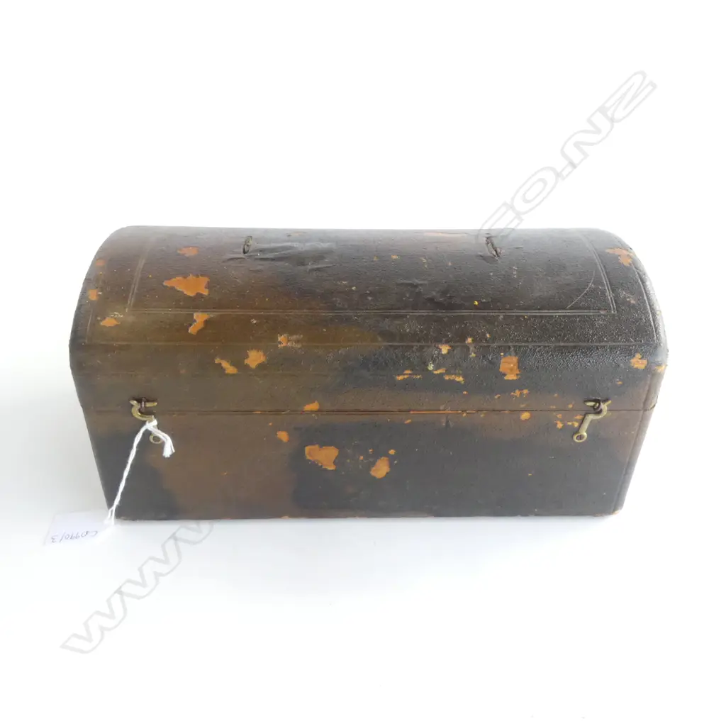 KAURI GUM PIECES IN OLD BOX W.305mm Image 1++