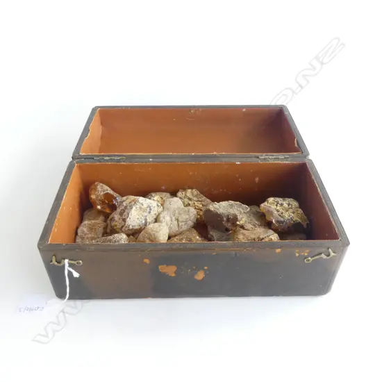 KAURI GUM PIECES IN OLD BOX W.305mm