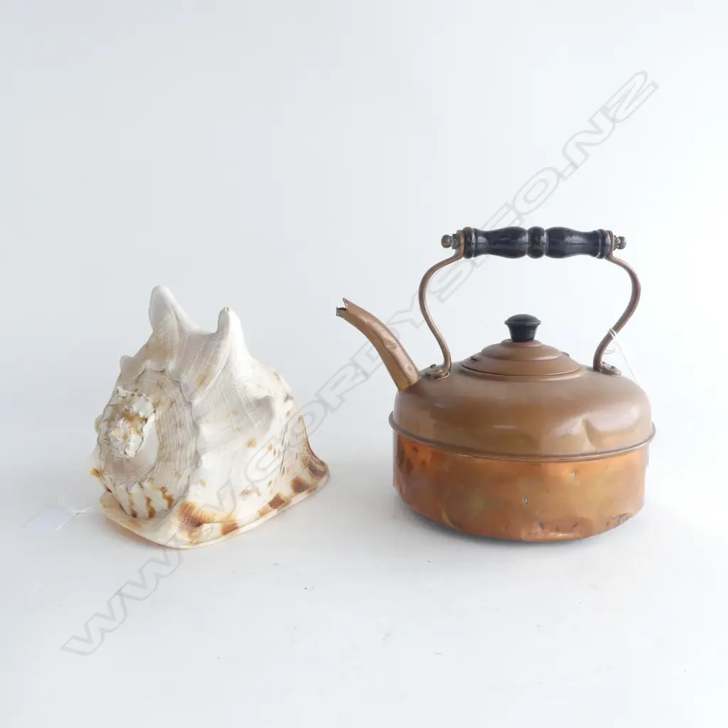 COPPER KETTLE H200MM & CONCH SHELL H160MM Image 1++