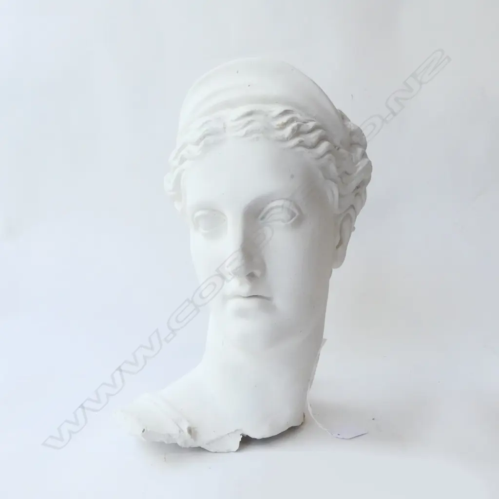 PLASTER CLASSICAL HEAD H.360mm Image 1++