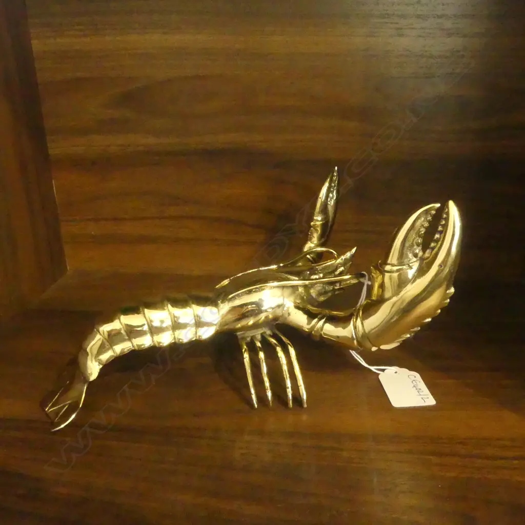 BRONZE LOBSTER L.220mm Image 1++