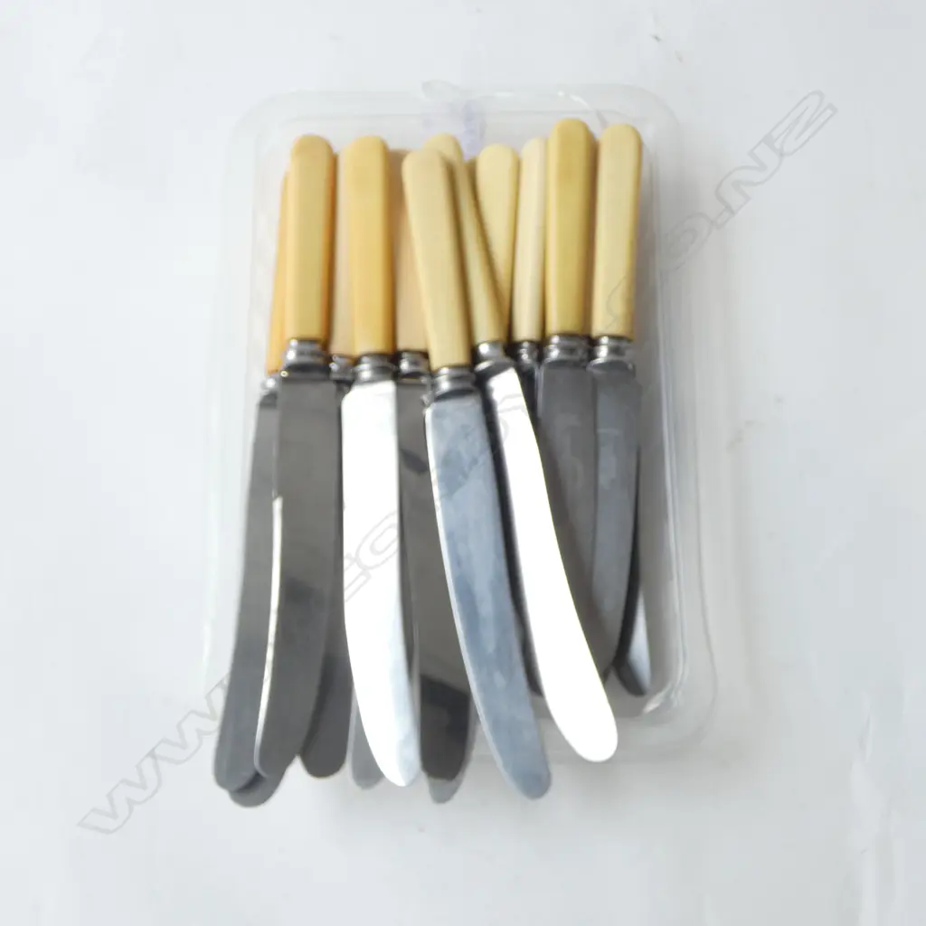 20 VINTAGE ‘BONE’ HANDLE KNIVES SHEFFIELD 10 DINNER + 10 LUNCH Image 1++