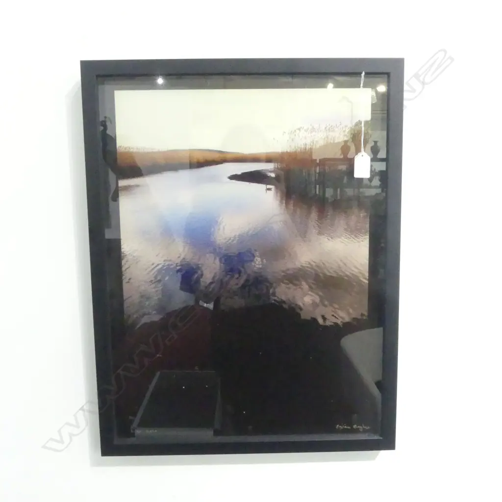 DUCK POND, SIGNED CONTEMPORARY PHOTOGRAPH 500x365mm Image 1++