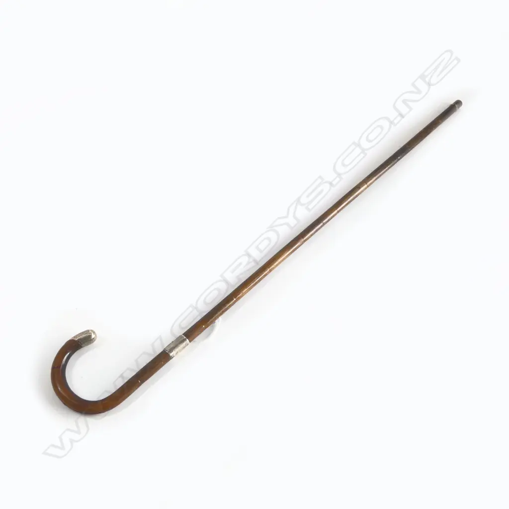 STG SILVER CAP CANE WALKING STICK L.860mm Image 1++