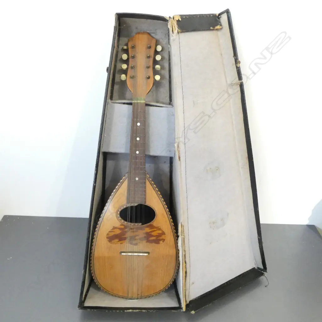 OLD CASED MANDOLIN by ALFREDO ALBERTINI (FAULTS) Image 1++