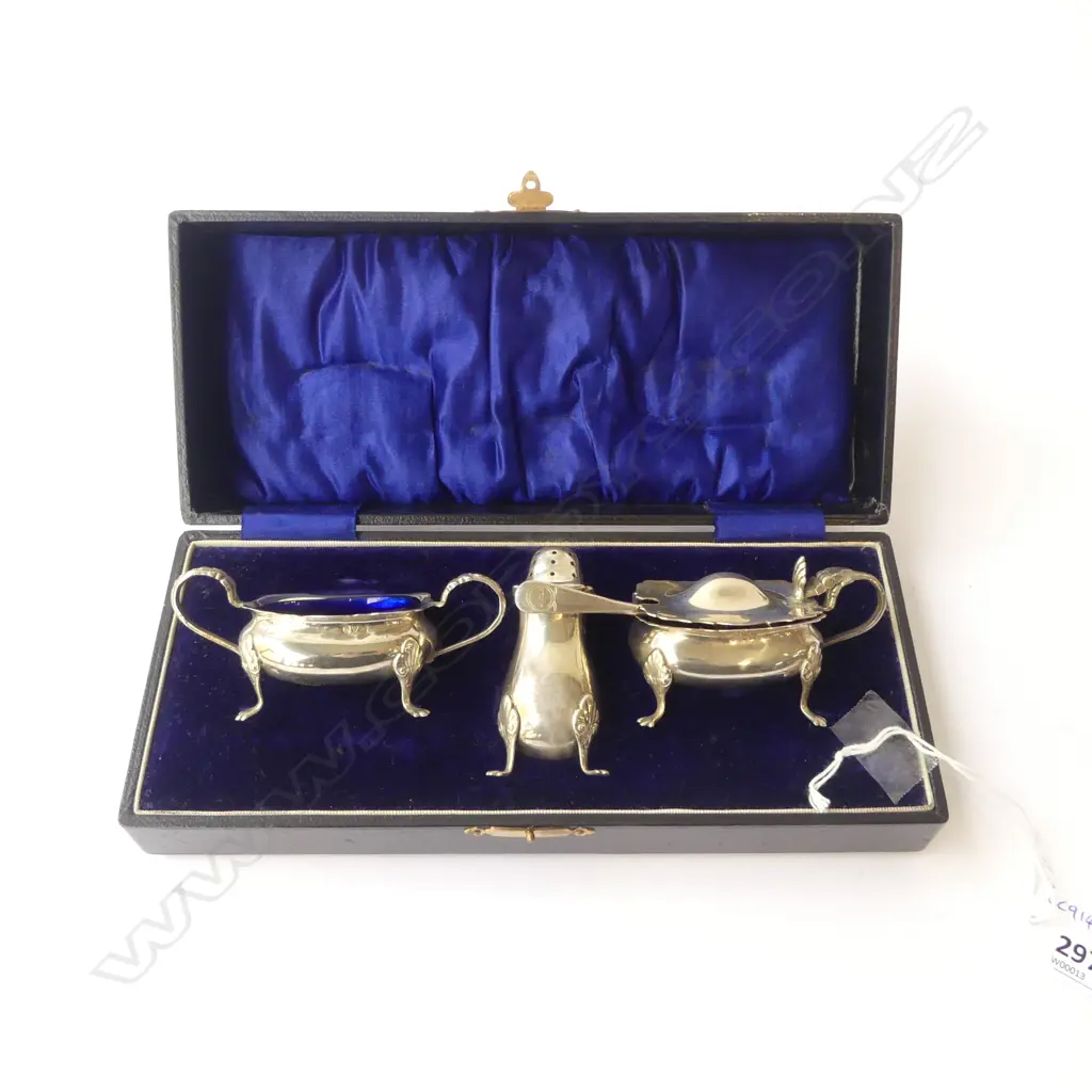 CASED S/SILVER CONDERMENT SET  SILVER WIEGHT 109G Image 1++