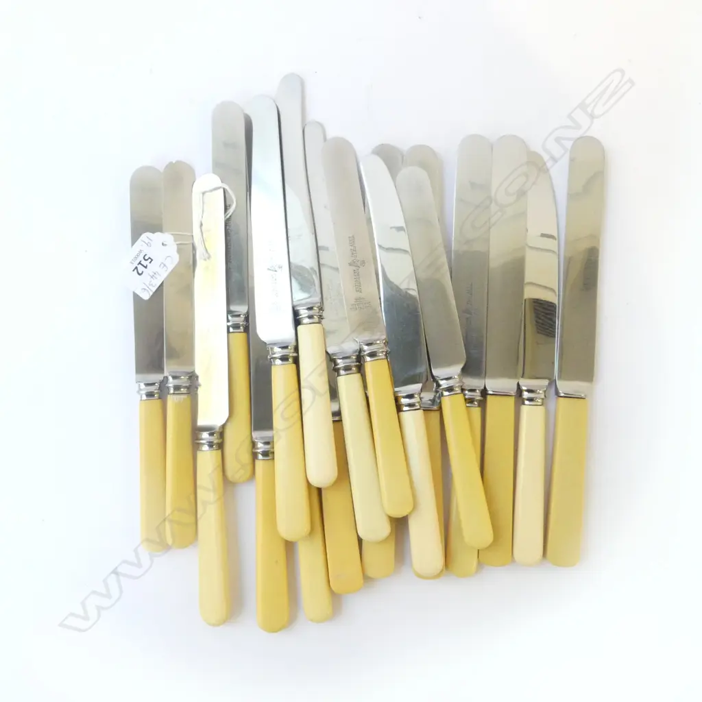 19 IVORINE 'BONE' HANDLED KNIVES 6+5+4+4 Image 1++