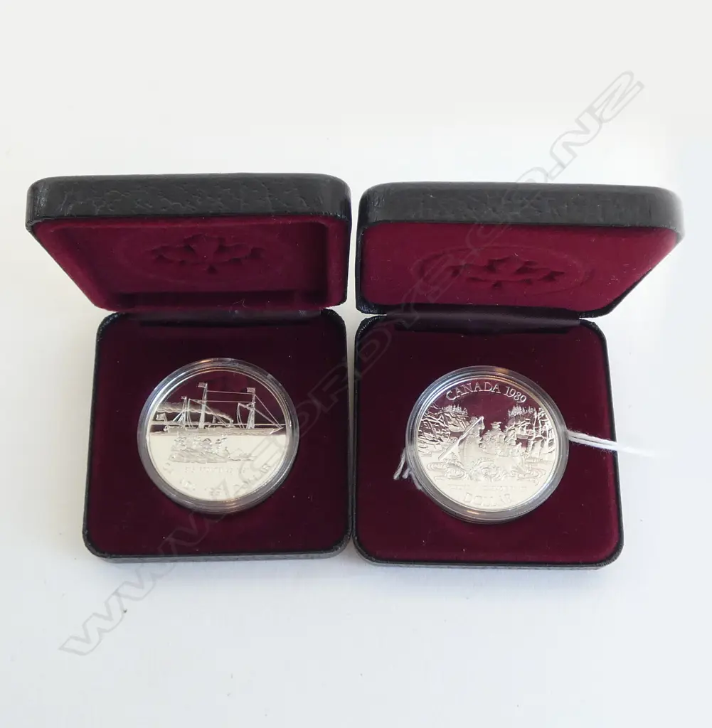 2 CANADA PROOF DOLLAR COINS 1989 & 1991. CASED Image 1++
