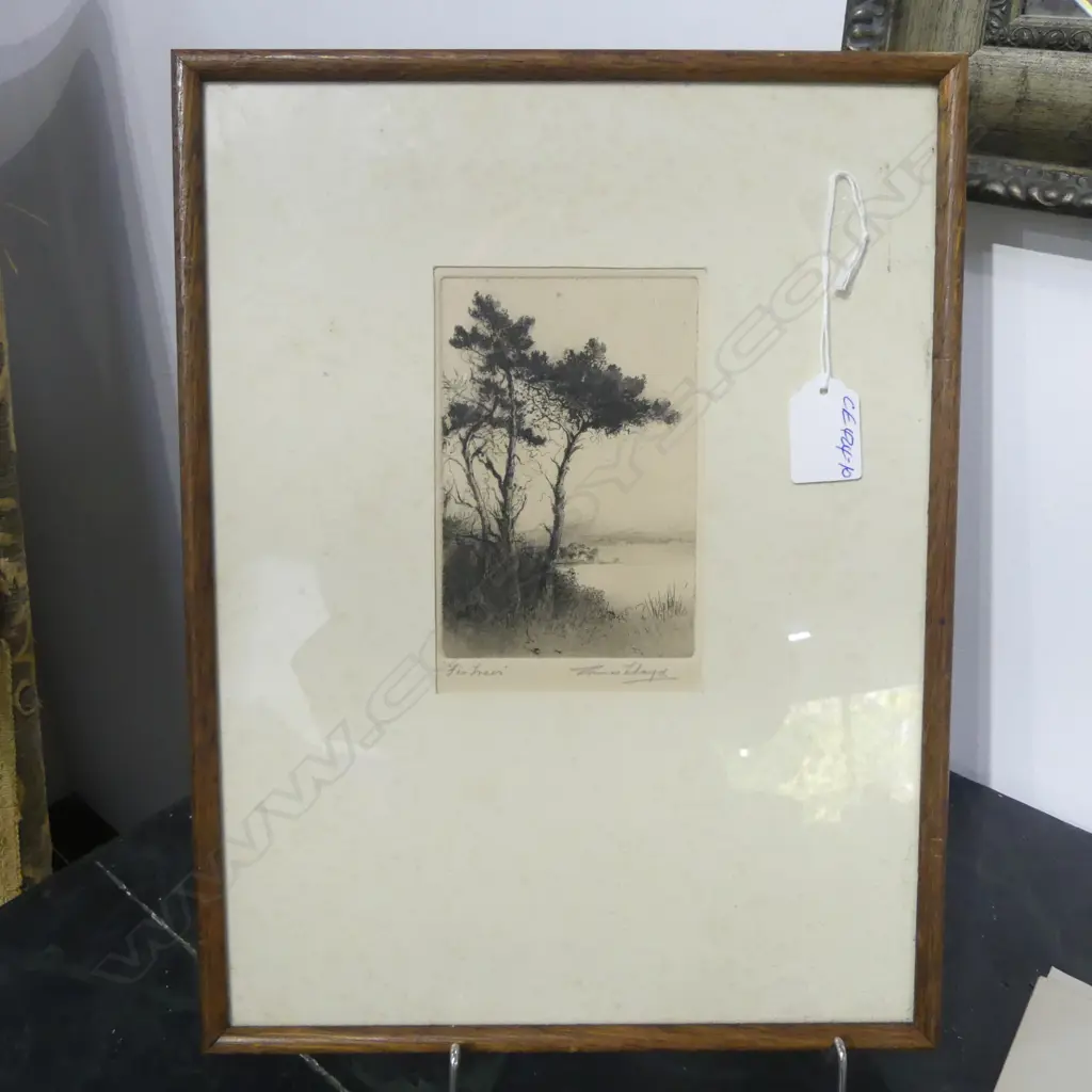 CONNIE LLOYD ETCHING & AQUATINT  'FIR TREES' signed & entitled in pencil 130 x 88mm Image 1++