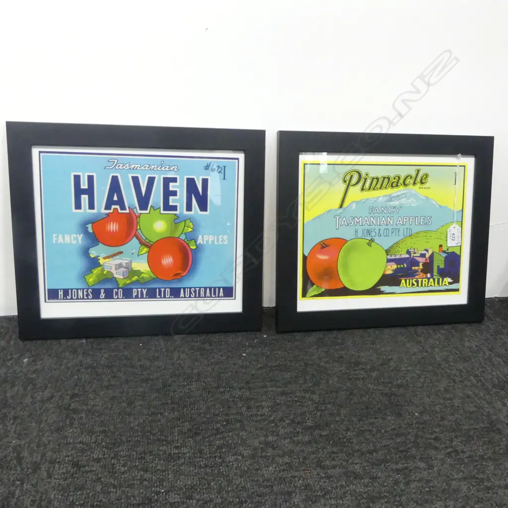 2 REPRODUCTION VINTAGE TASMANIAN APPLE PRINTS 215x280mm Image 1++
