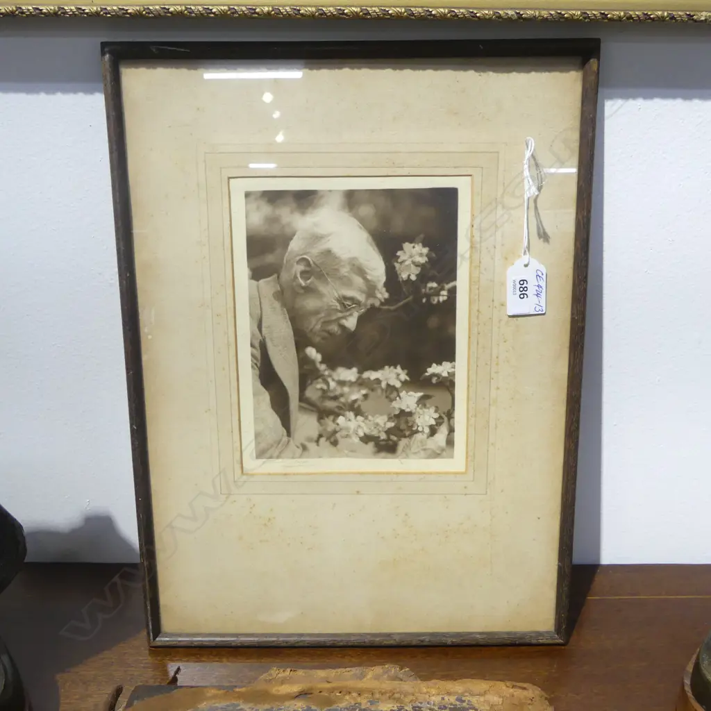 CONNIE LLOYD portrait of TREVOR LLOYD ? VINTAGE PHOTOGRAPH 175 X 130mm Image 1++