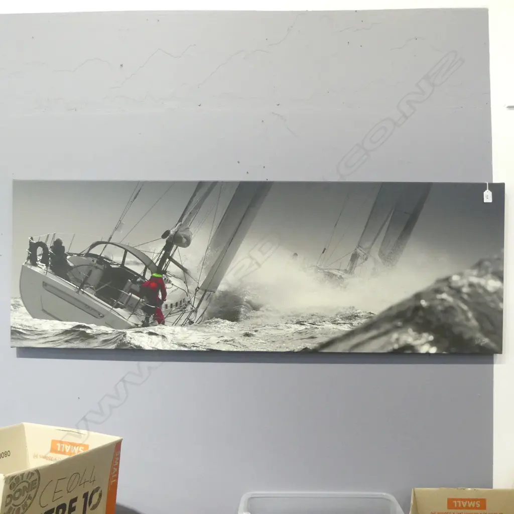 LARGE PHOTOGRAPHIC PRINT ON CANVAS SIGNED WILL .. , Ed. 35/100 500x1460mm Image 1++