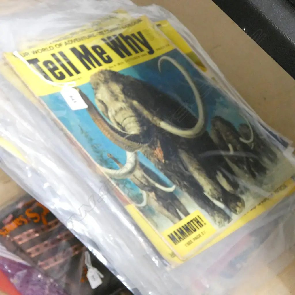 LARGE COLLECTION OF 'TELL ME WHY' PERIODICALS IN PROTECTIVE SLEEVES Image 1++