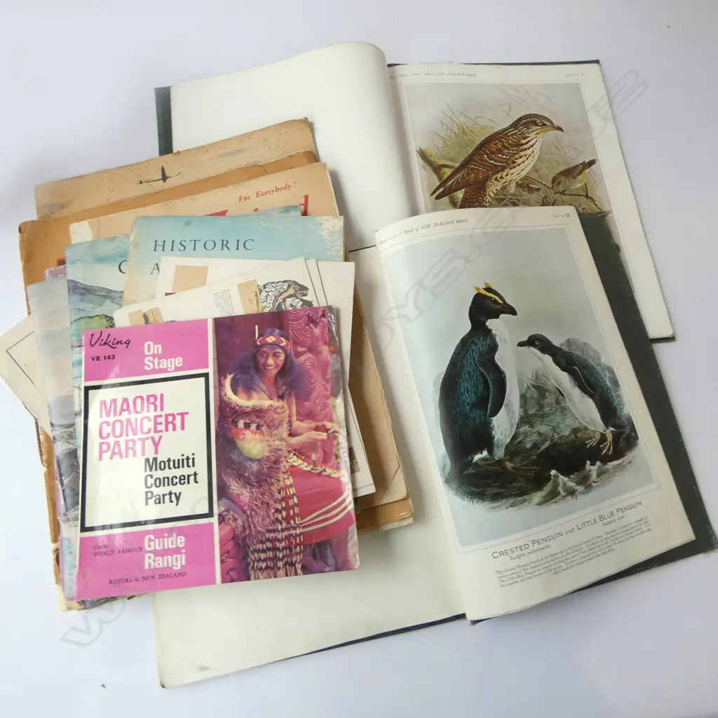 ASST. EPHEMERA; NZ / MAORI ETC Image 1++
