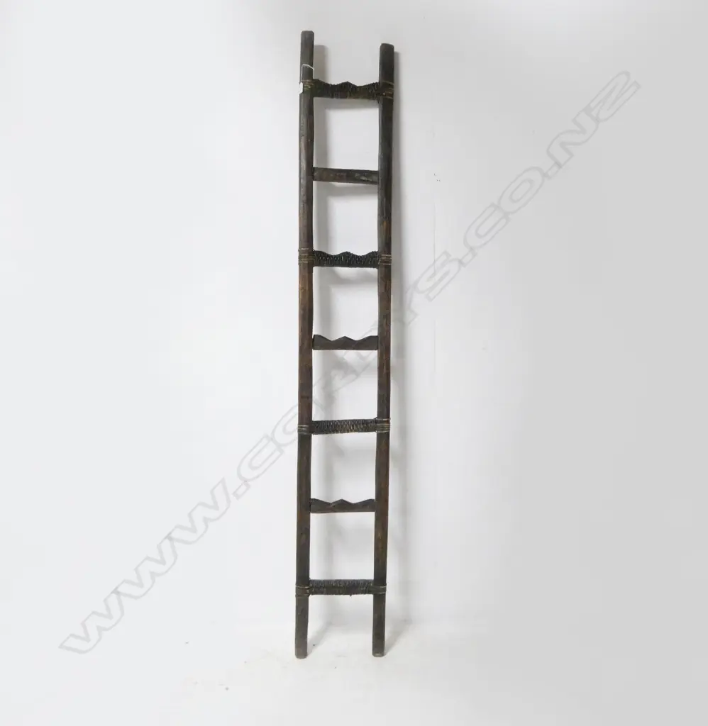 CHINESE LADDER H.220mm Image 1++