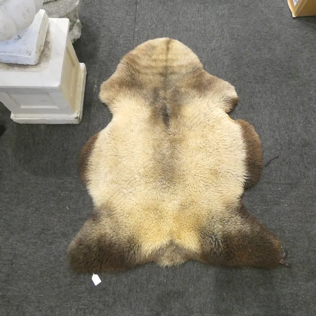 SHEEPSKIN RUG APROX. 1060mm Image 1++