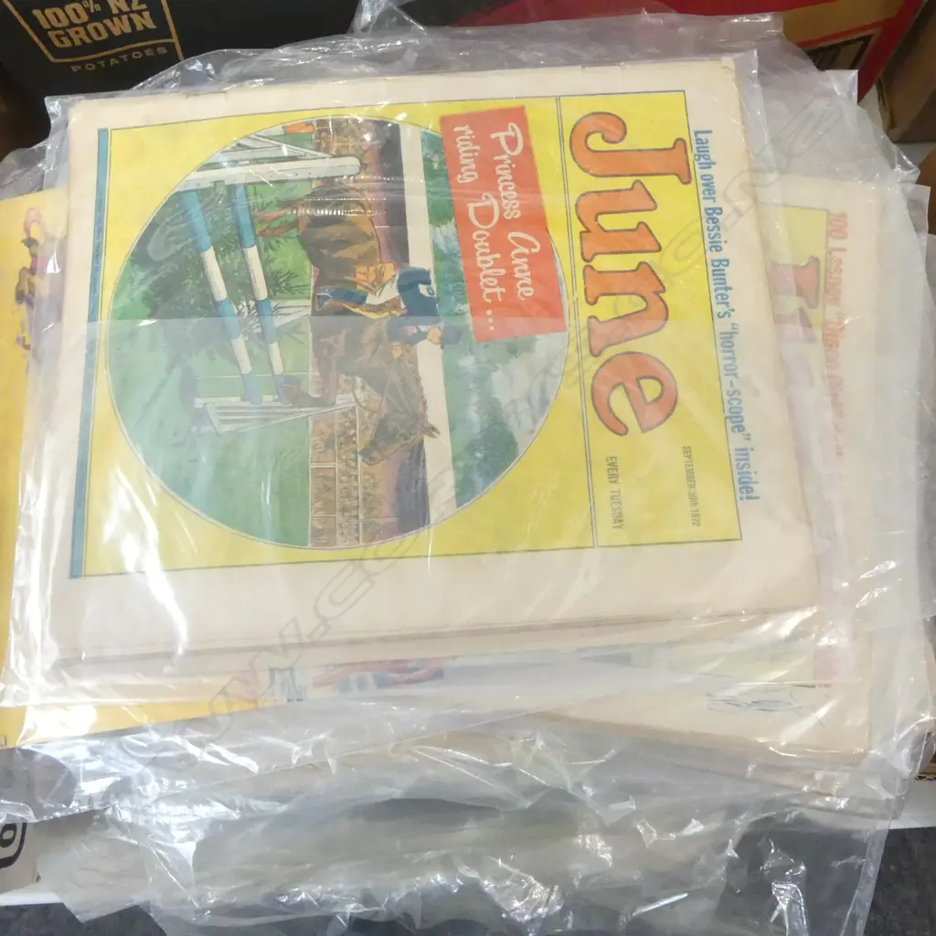 COLLECTION OF 'JUNE AND PIXIE' PERIODICALS with some others IN PROTECTIVE SLEEVES Image 1++