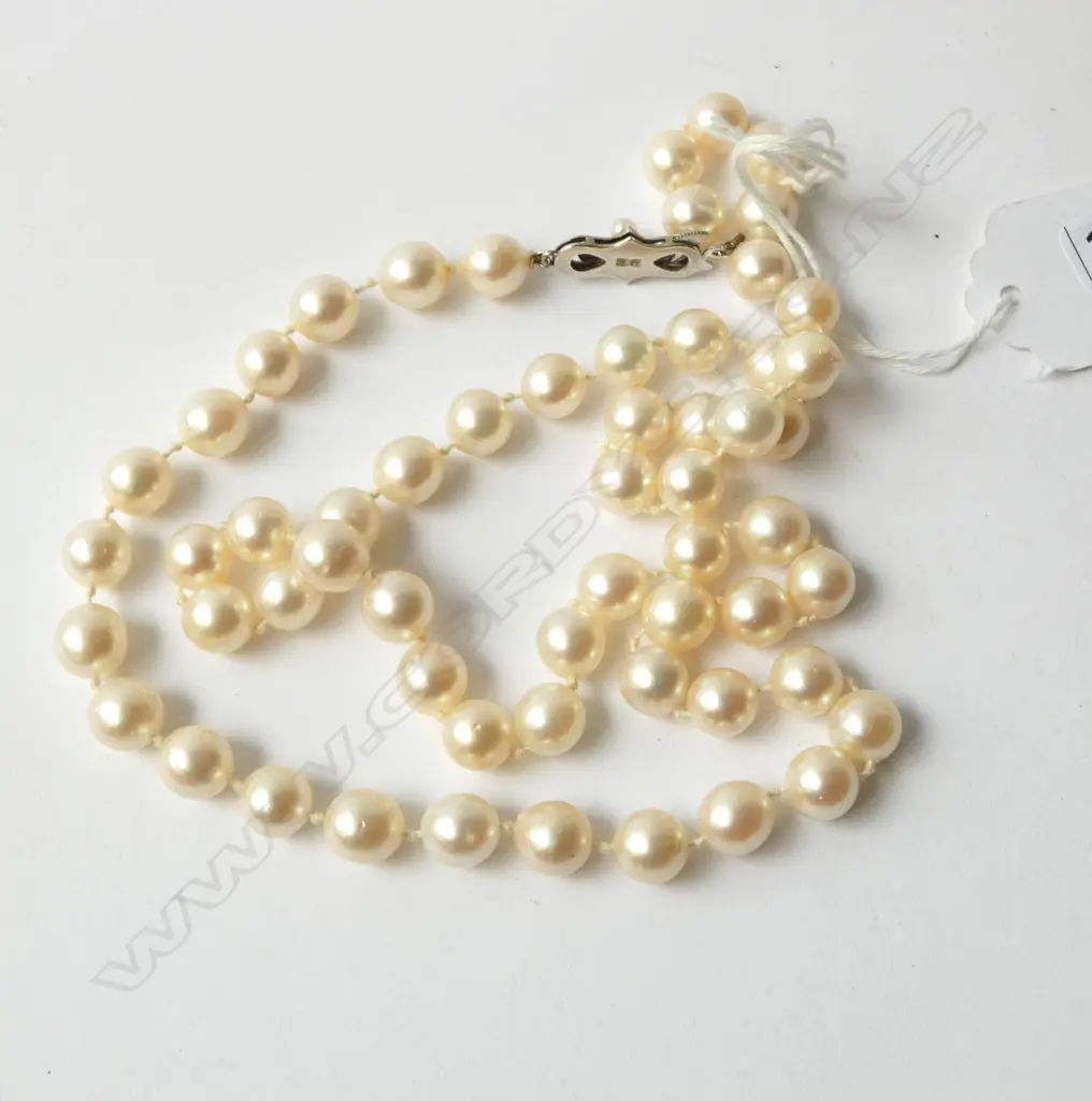SINGLE STRAND CULTURED PEARL NECKLACE WITH SILVER CLASP Image 1++