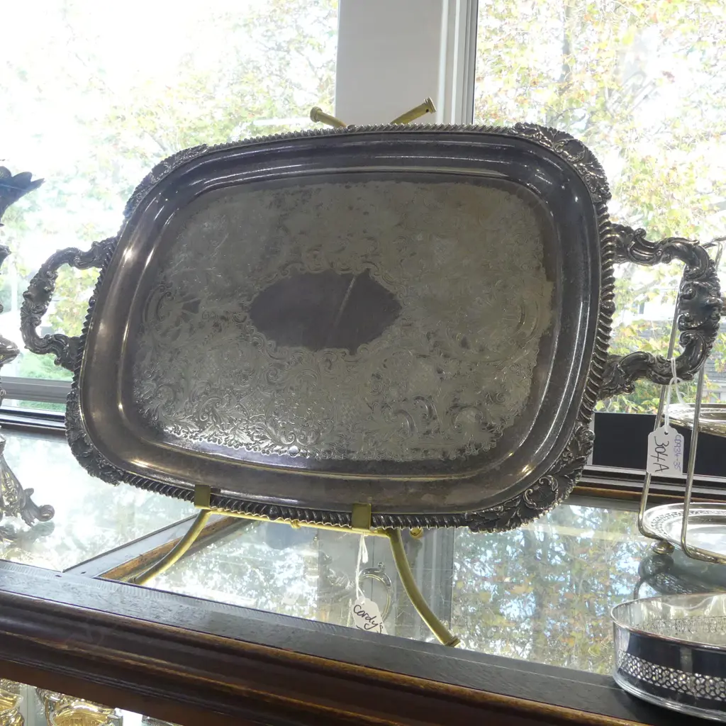 LARGE E/P BUTLERS TRAY L.670mm Image 1++