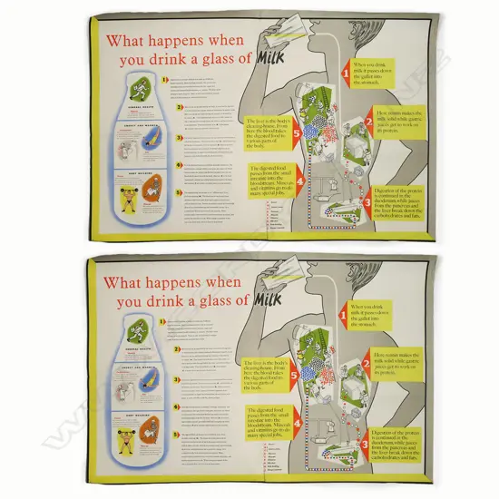 2 LGE VINTAGE POSTERS 'What happens when you drink a glass of Milk' 660 x 990mm 