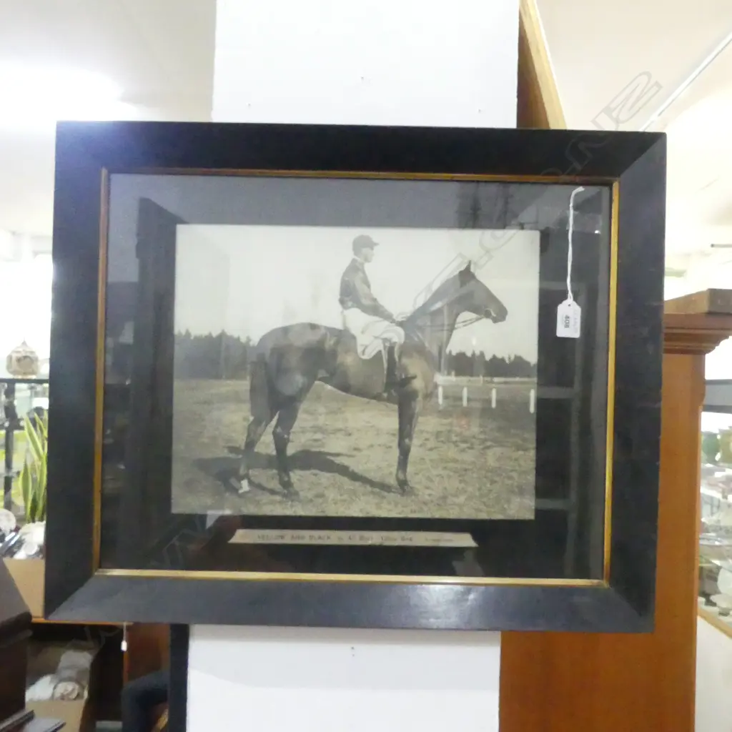 FRAMED VINTAGE JOCKEY PHOTO 'YELLOW AND BLACK, BY ALL BLACK - YELLOW BIRD J. DEEREY, RIDER' 280x355mm Image 1++
