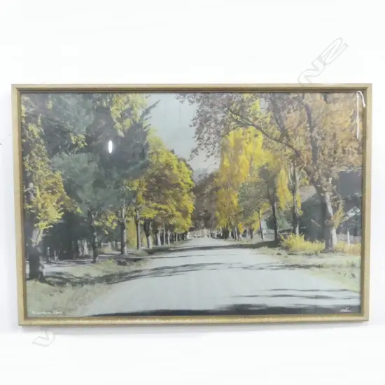 WHITE'S AVIATION hand coloured photo 'Arrowtown Road' signed & entitled 500 x 750mm