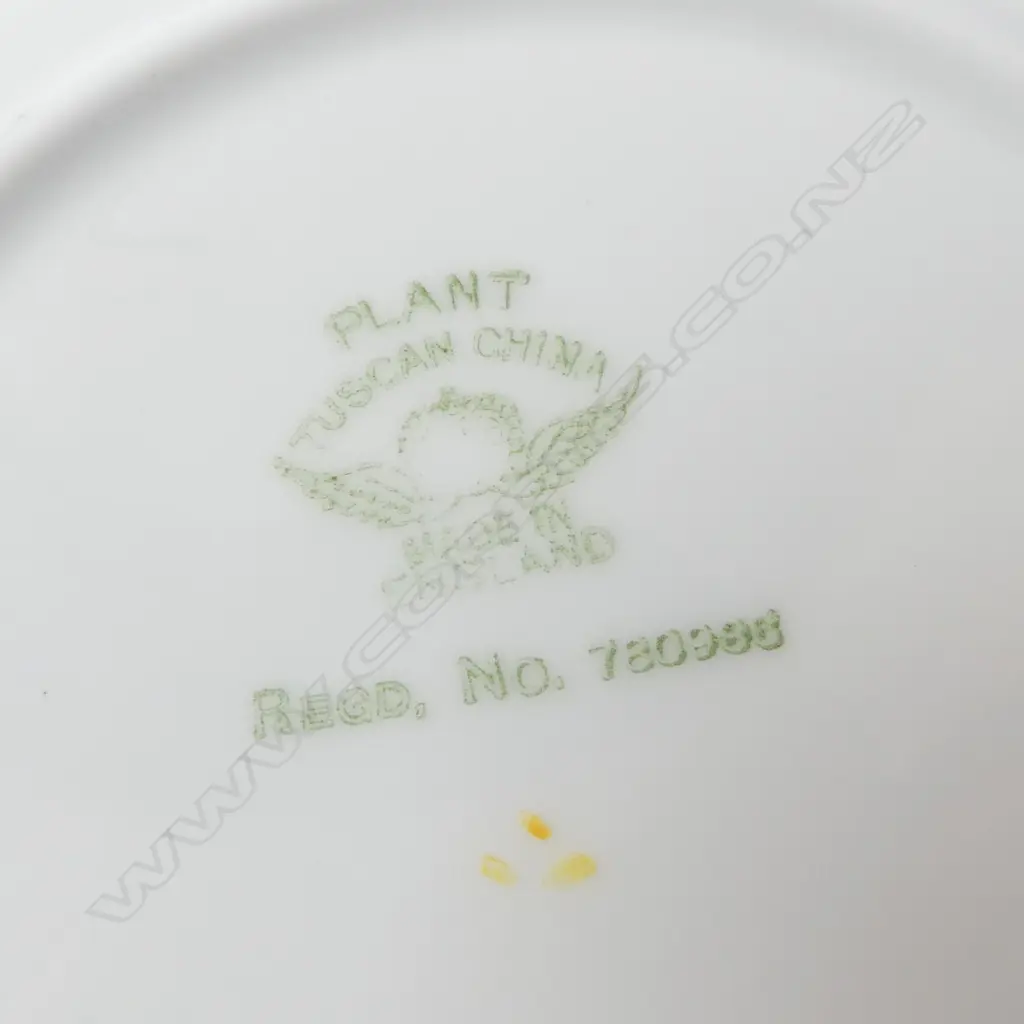 TUSCAN CHINA DECO TEASET PLANT PAT Image 1++