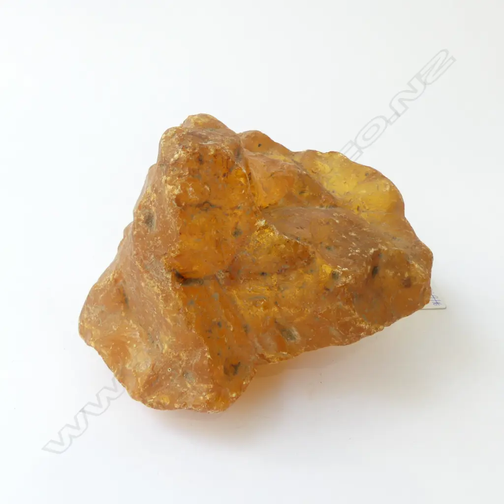 KAURI GUM PIECE W.170mm Image 1++