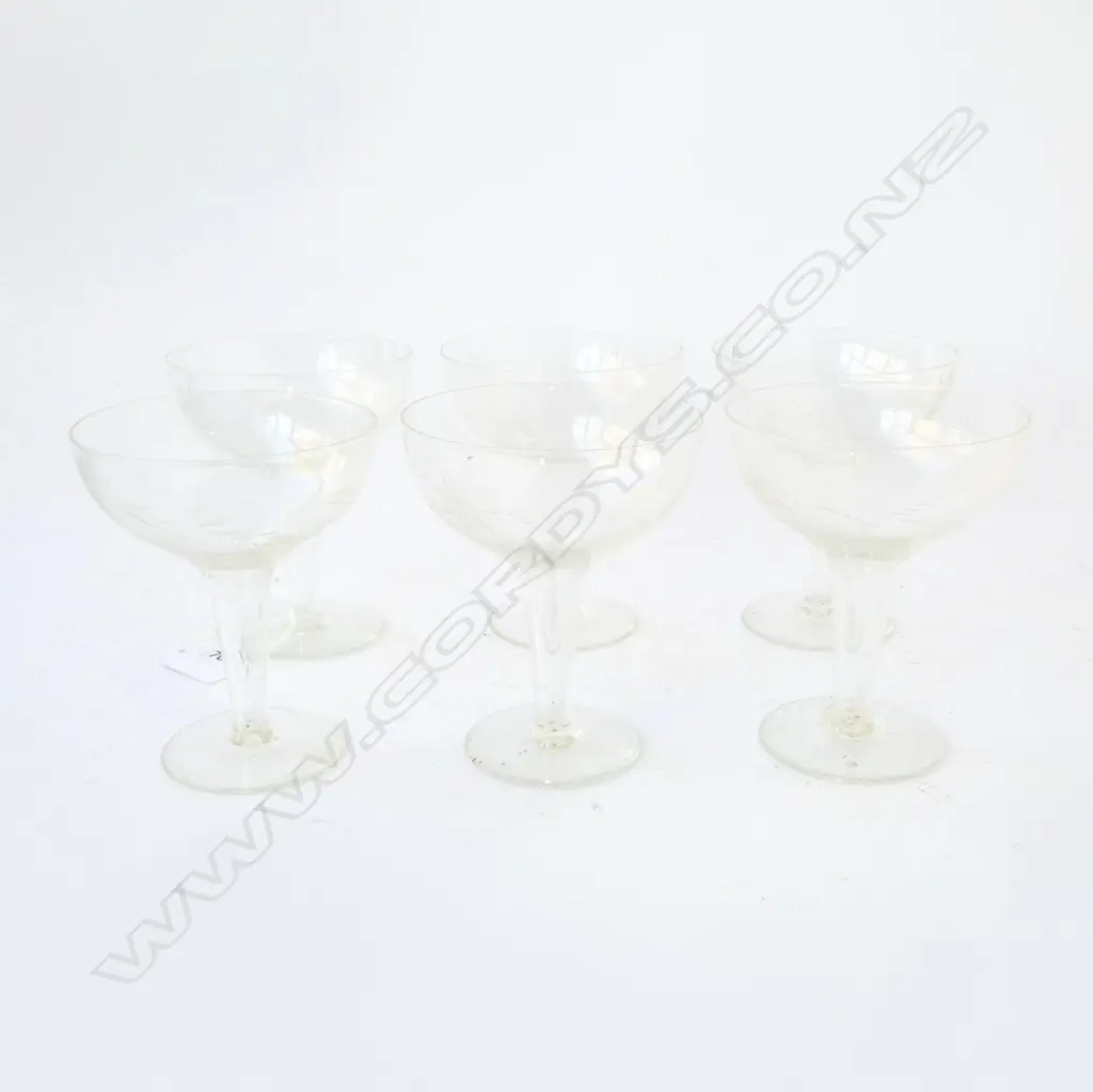 6 ETCHED HOLLOW STEM CHAMPAGNE GLASSES H.115mm Image 1++