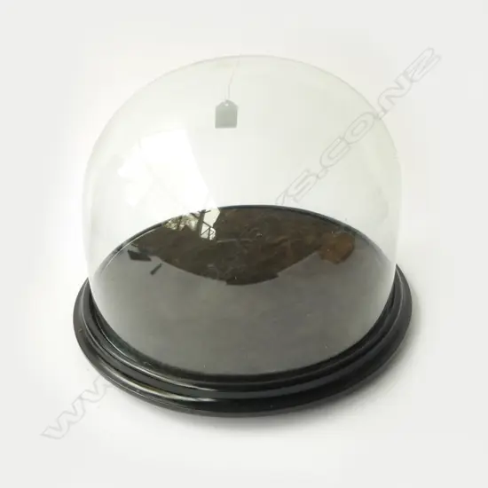 GLASS DOME 330mm dia