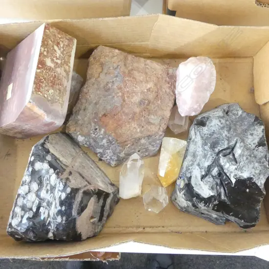 ASST. MINERAL SAMPLES 
