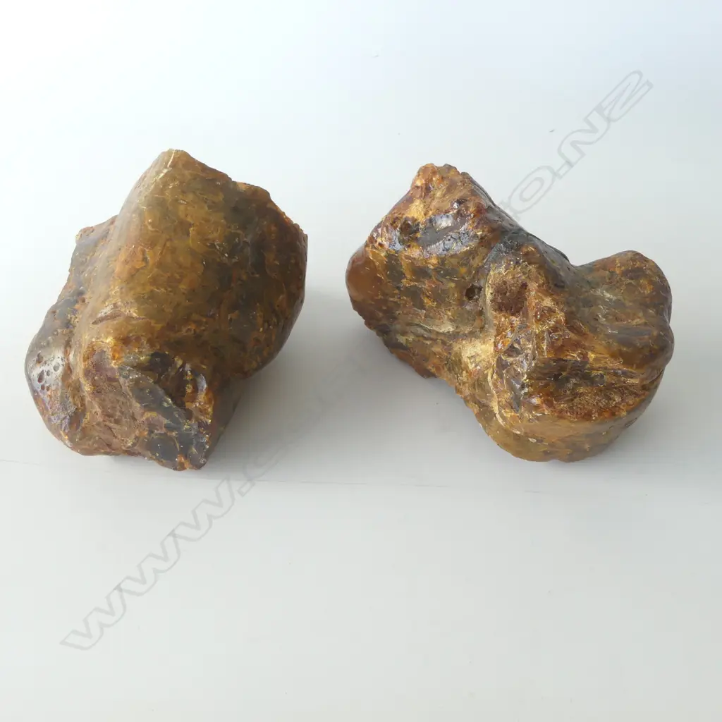 2 LARGE KAURI GUM LUMPS; TOTAL 5KG Image 1++