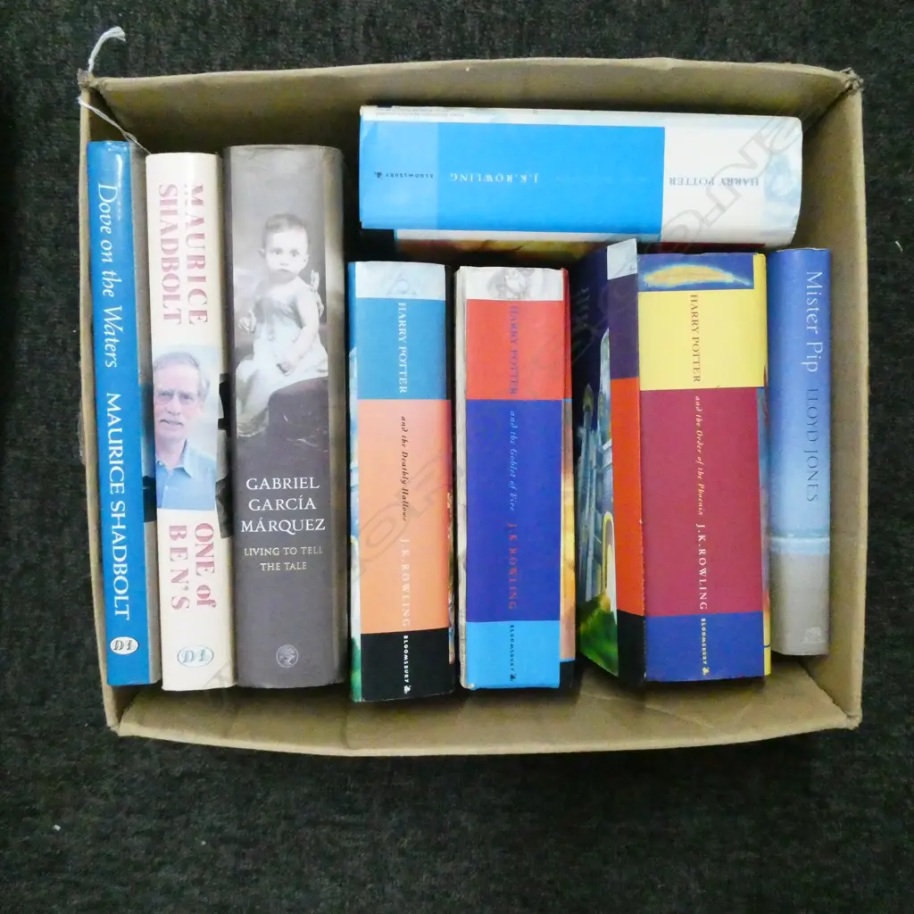 1st Ed. HARRY POTTER NOVELS ETC Image 1++