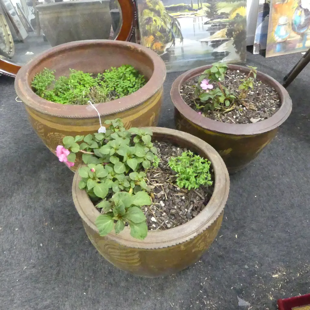 3 DRAGON POT PLANTERS (2+1) H.380mm Image 1++
