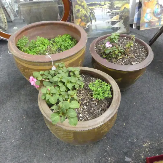 3 DRAGON POT PLANTERS (2+1) H.380mm