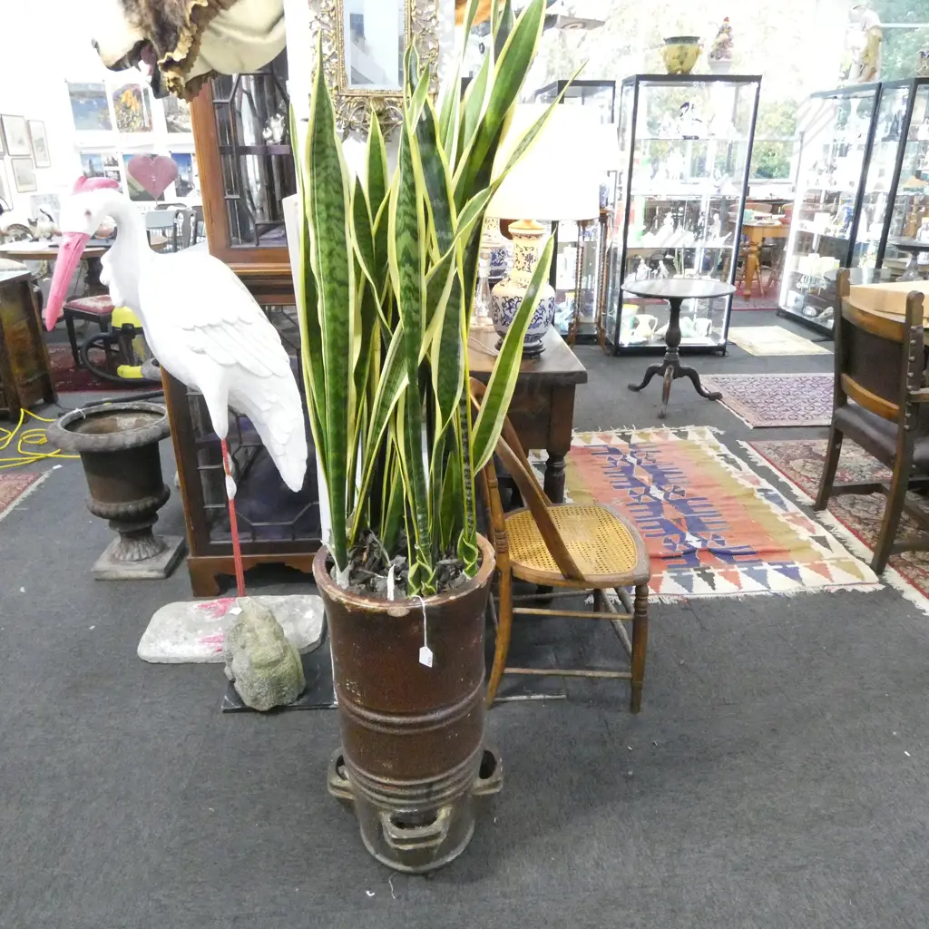 SNAKE PLANT IN CHIMNEY POT H.1600mm Image 1++