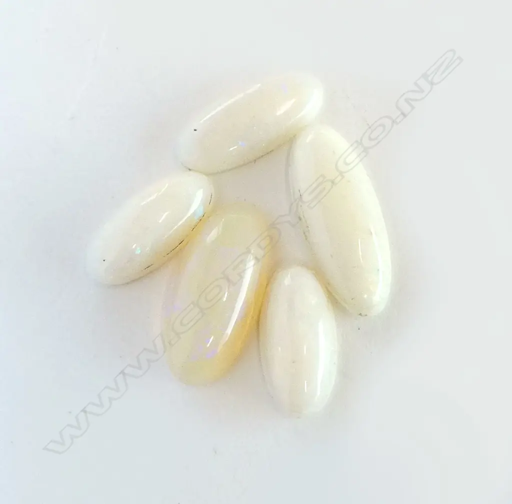 5 OPAL CABOCHONS, 10ct, NOT NEW Image 1++