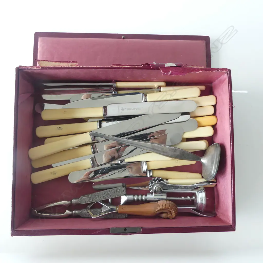 LEATHER BOX (FAULTS) WITH ASST. IVORINE 'BONE' HANDLED KNIVES & OTHER UTENSILS Image 1++