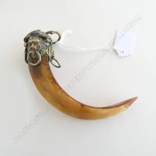 OLD TIBETAN ? BOAR'S TUSK with silvered 4 lion mask fitting partially enamelled L.130mm 