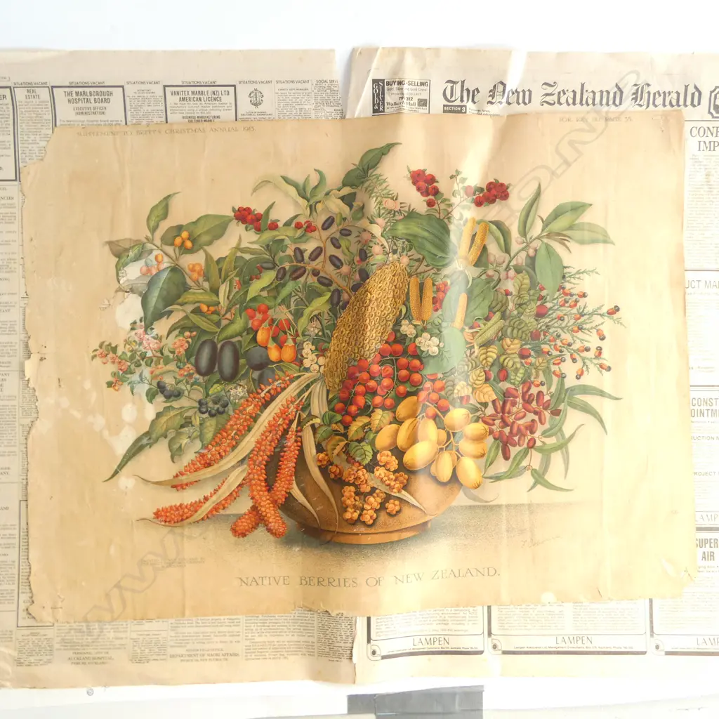 VINTAGE POSTER 'EAT MORE FRUIT' 740 x 495mm + 'NATIVE BERRIES OF NZ' minor faults: Image 1++