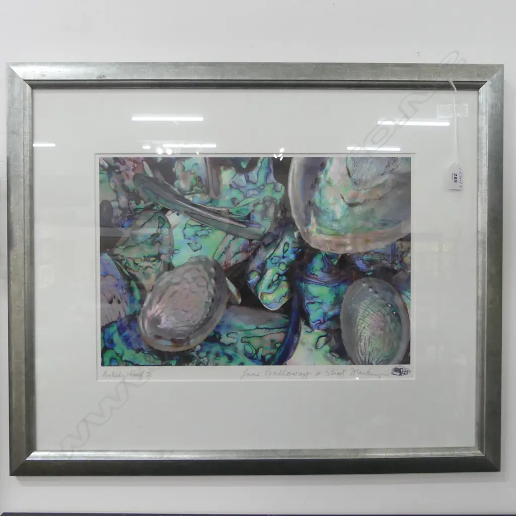 JANE GALLOWAY & STUART McKENZIE 'PAUA PIECES & SHELLS' AP PRINT 2002 300x430mm Image 1++