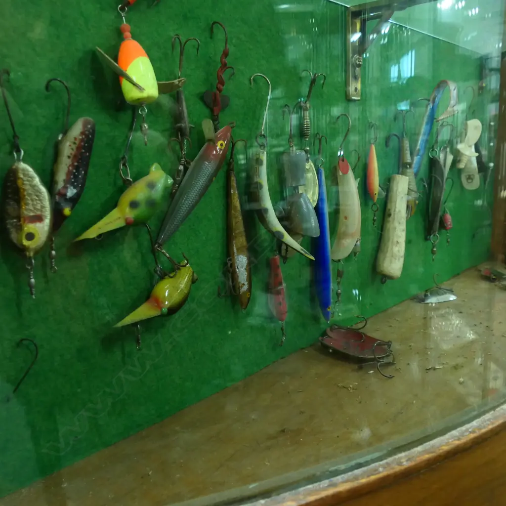 VICT CONVEX GLASS WALL DISPLAY CABINET H1200 L800MM CONTAINING VINTAGE COLLECTION OF FRESH WATER FISHING LURES APROX 140 Image 1++