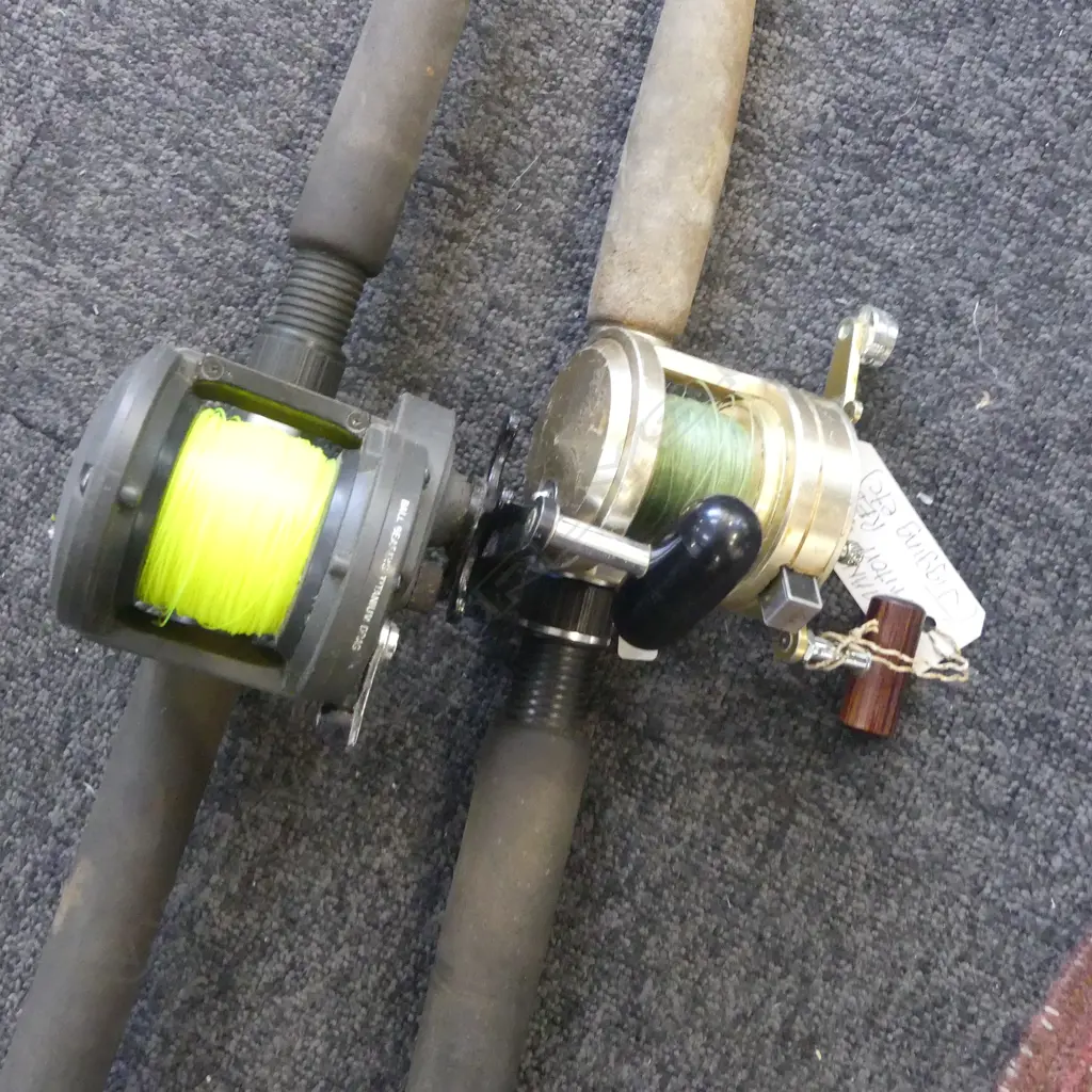TWO BOAT RODS WITH SHIMANO REELS - TRITON Mk1 & TRITON STARDRAG GT Image 1++