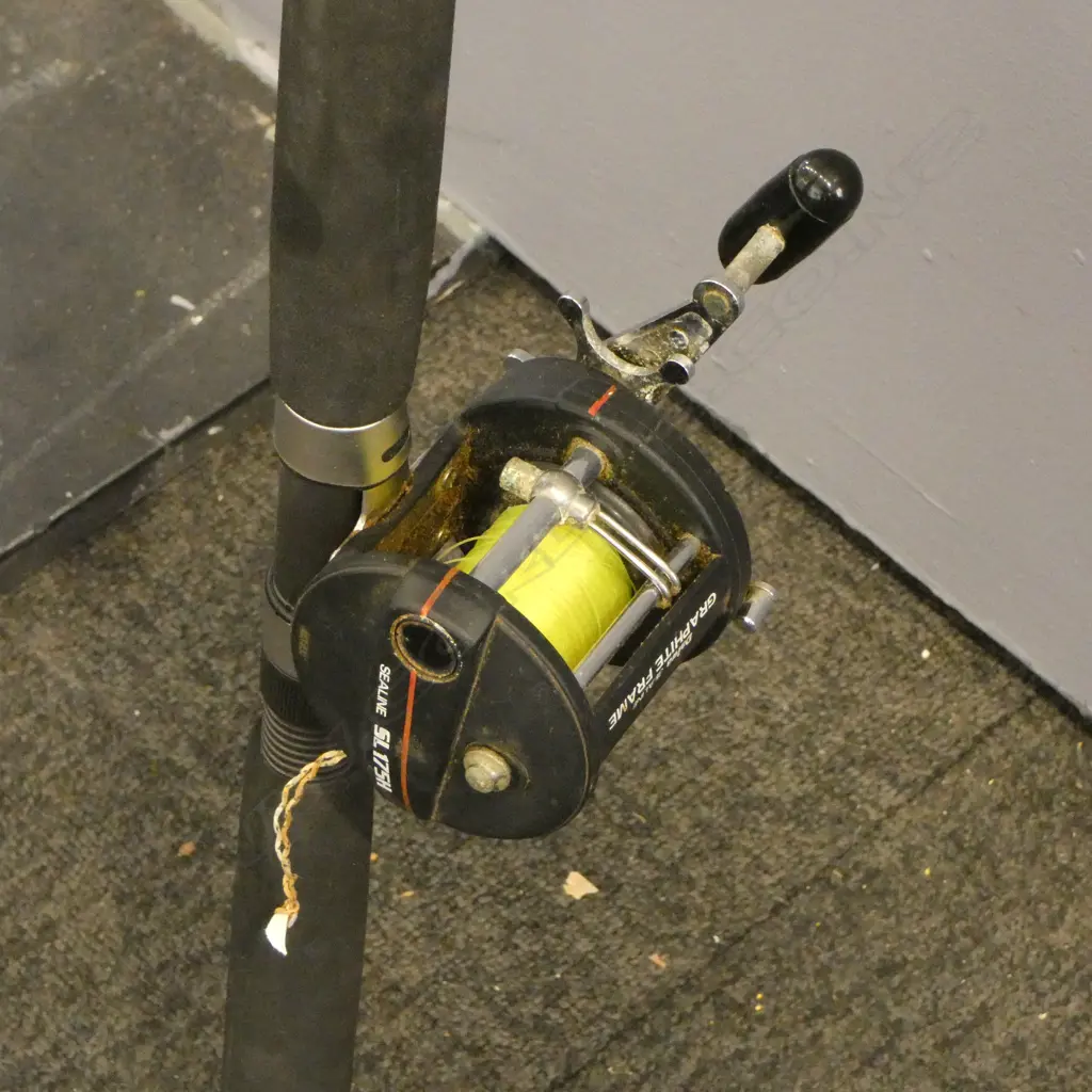 SILSTAR POWERTIP ROD w. DAIWA GRAPHITE REEL Image 1++