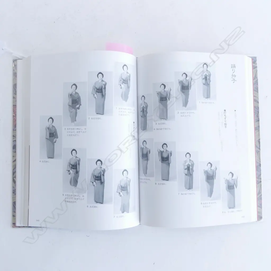 JAPANESE BOOK ON CHOREOGRAPHY, BLADEWORK, etc Image 1++