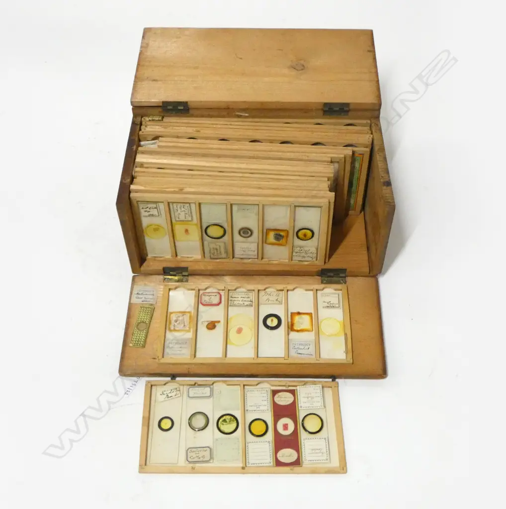 ANTIQUE BALTIC PINE BOXED MICROSCOPE SLIDE SET L255MM Image 1++