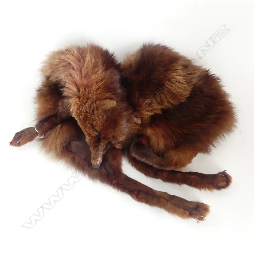 VINTAGE AUBURN FOX FUR STOLE Image 1++